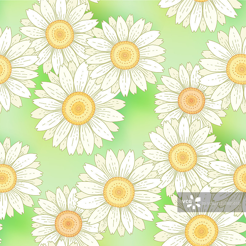 洋甘菊无缝图案图片素材