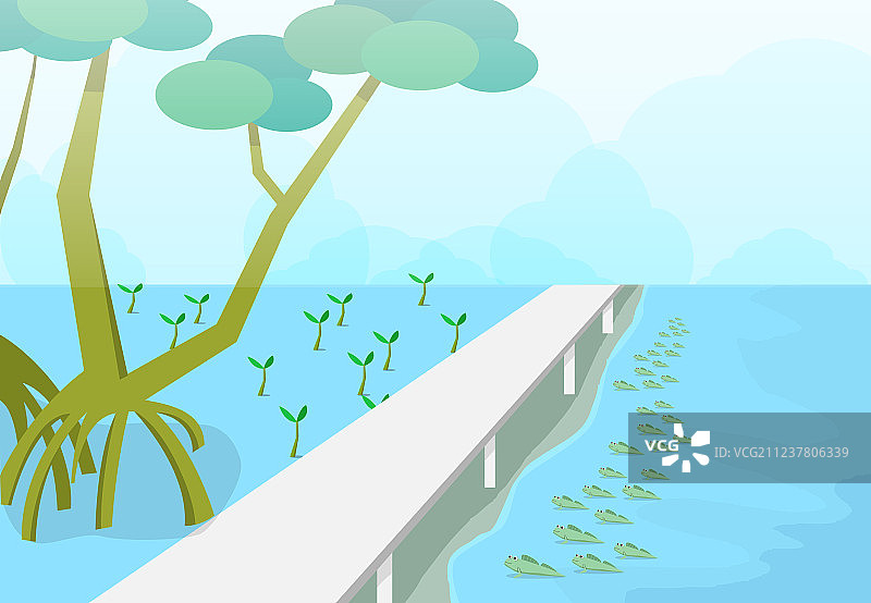 红树林中的弹涂鱼自然艺术图片素材