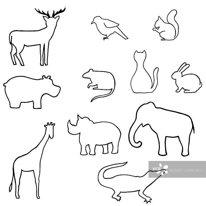 野生动物轮廓图片素材