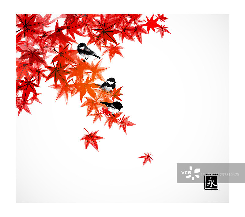 红叶日本枫树上的三只小鸟图片素材