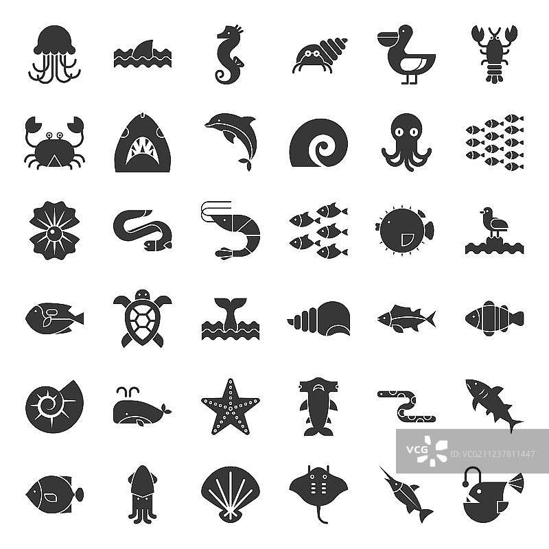 章鱼壳等水生海洋生物图片素材