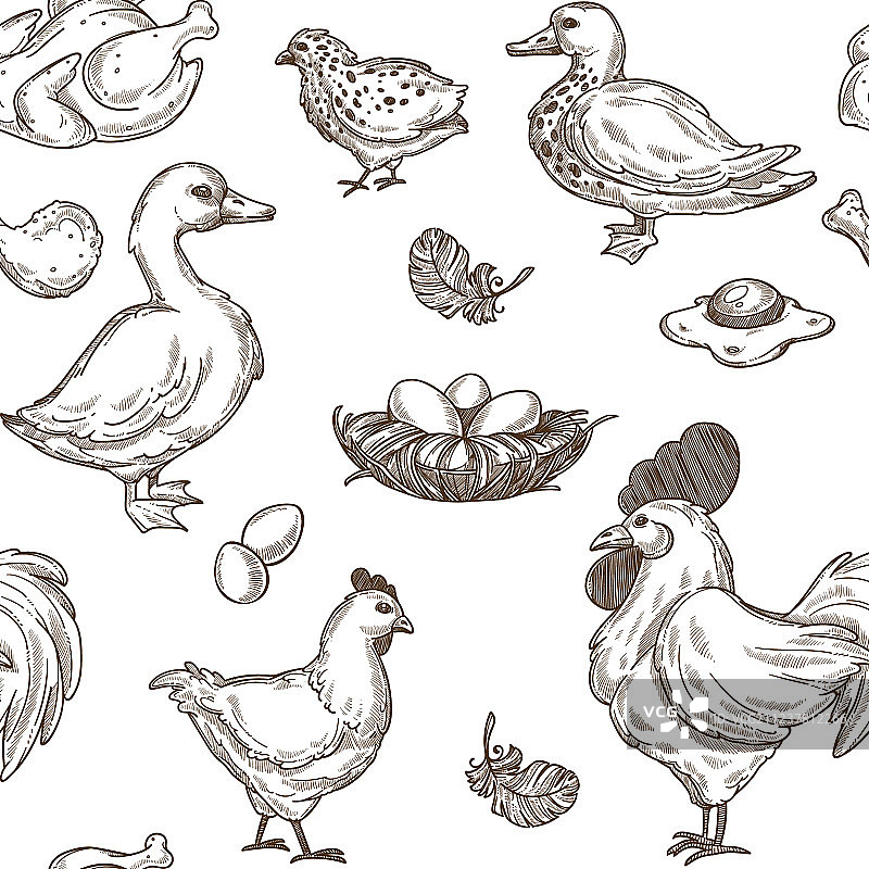家禽养殖场无缝草图图案图片素材