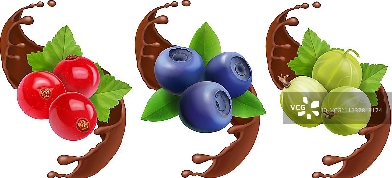 巧克力中的蓝莓、醋栗和红醋栗图片素材