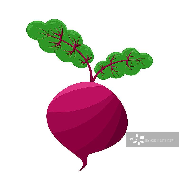 白色背景上的紫色甜菜图片素材