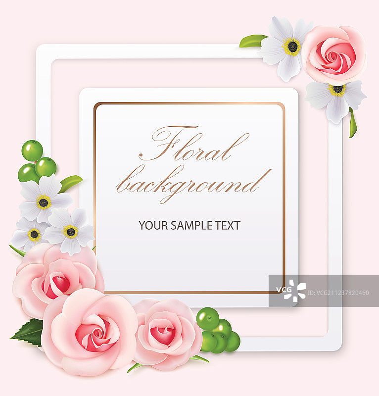 玫瑰银莲花花卉背景与画框图片素材