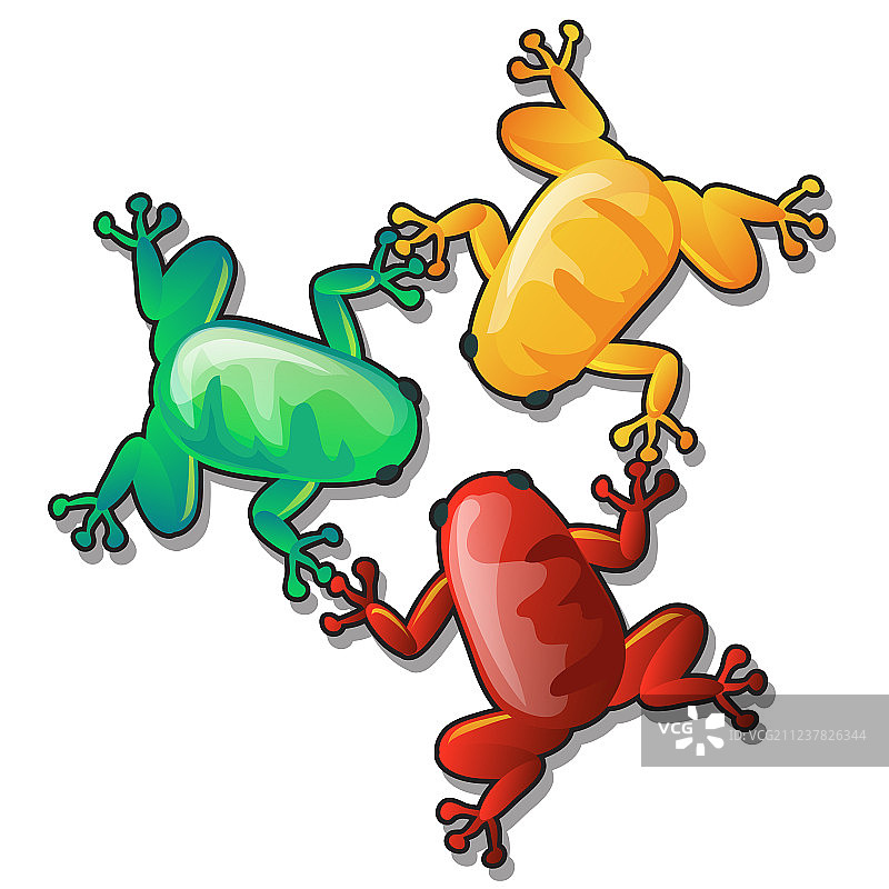 三只滑稽的彩色青蛙或蟾蜍图片素材