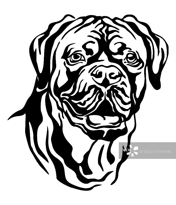 波尔多犬装饰肖像图片素材