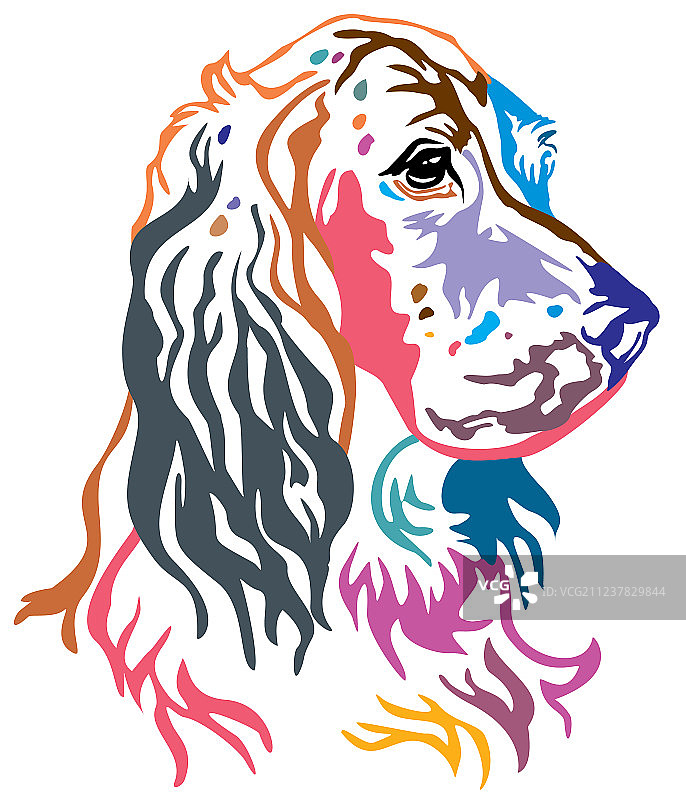 英国斗牛犬彩色装饰肖像图片素材