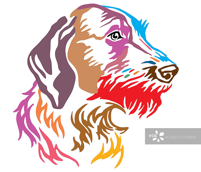 德国牧羊犬彩色装饰画像图片素材