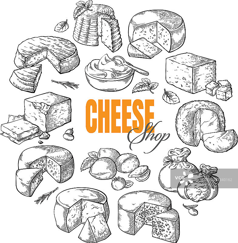 不同奶酪圆形背景俯视图图片素材