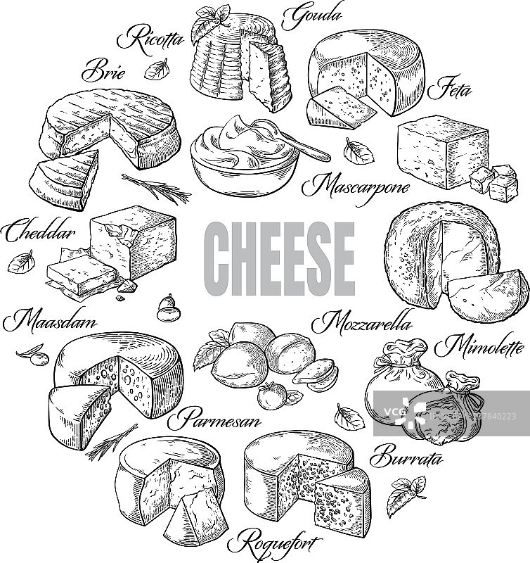 不同奶酪圆形背景俯视图图片素材