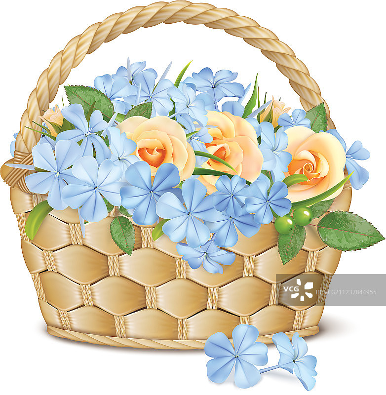 篮子里的玫瑰和福禄考花束图片素材