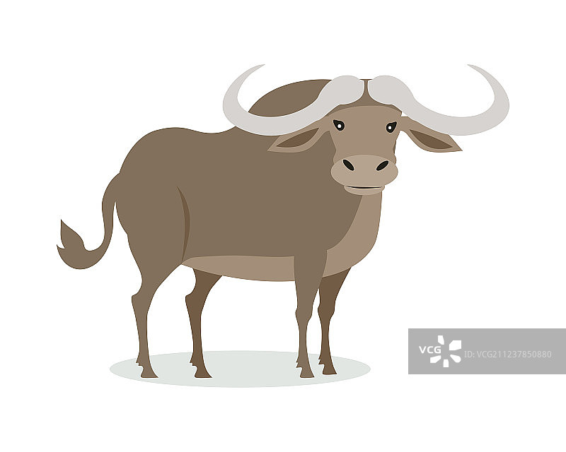 扁平风格的非洲水牛卡通图标图片素材