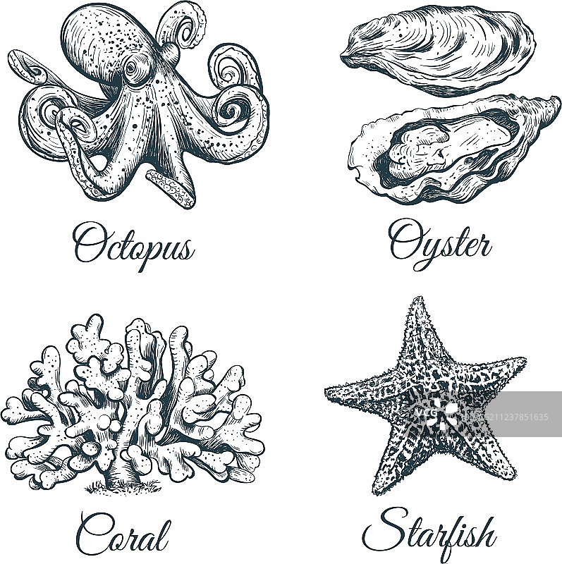 海洋主题套装图片素材