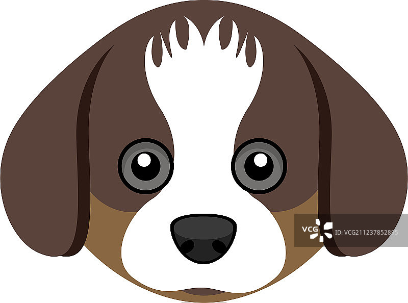 可爱的西施犬头像图片素材