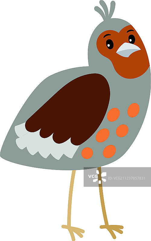 卡通鸟鹧鸪图标图片素材