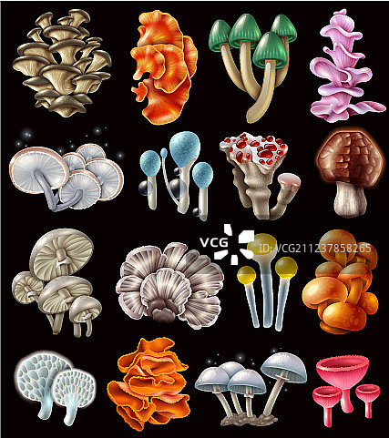 彩色魔法蘑菇合集图片素材
