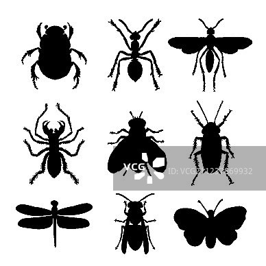 昆虫动物图标：扁平化风格的蚂蚁图片素材