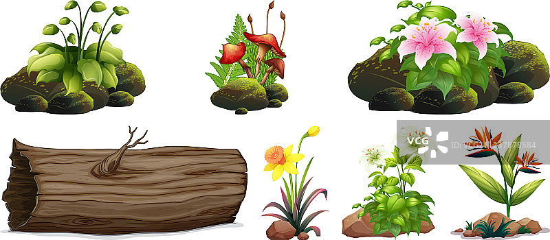 岩石和木头上各色鲜花大型合集图片素材