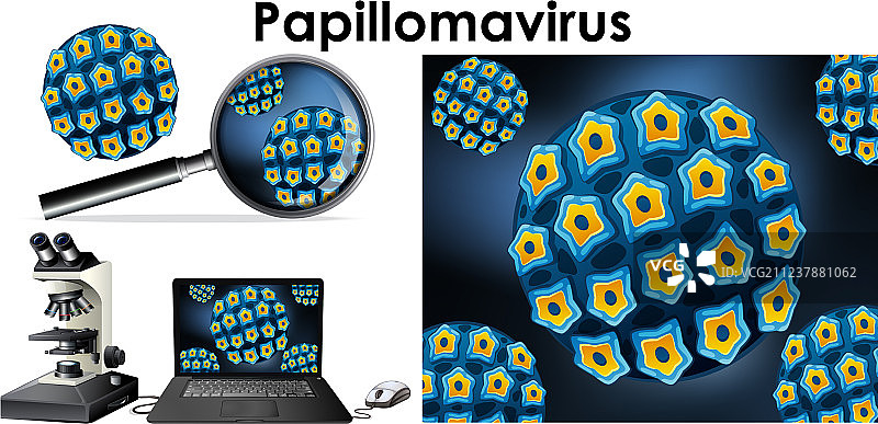 电脑屏幕上的乳头瘤病毒图片素材