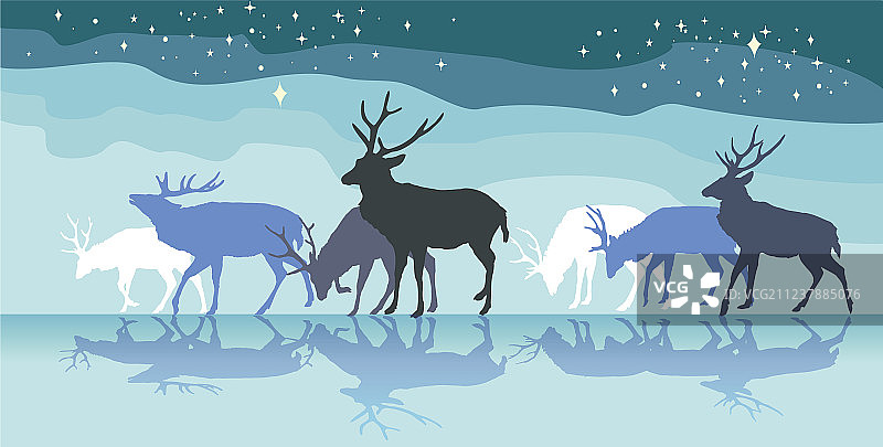 彩色全景：母鹿漫步图片素材