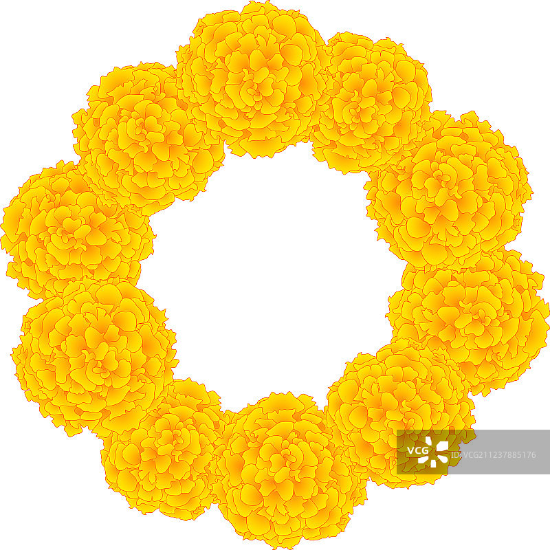 万寿菊花环图片素材