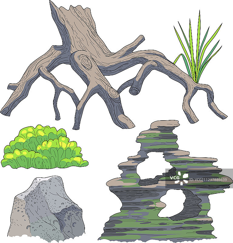 水族箱配件图片素材