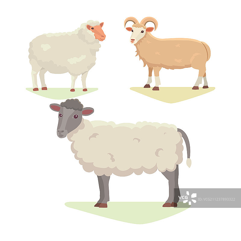 可爱的绵羊和公羊复古风格图片素材