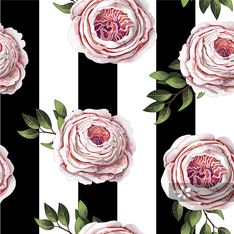 粉色英国玫瑰无缝图案图片素材