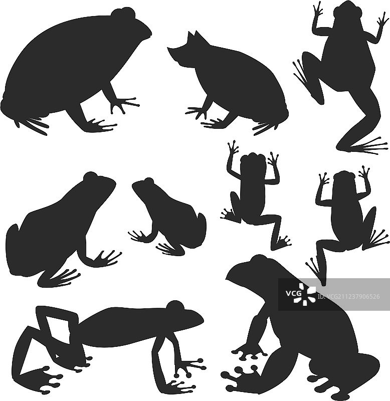 卡通热带野生动物青蛙剪影图片素材