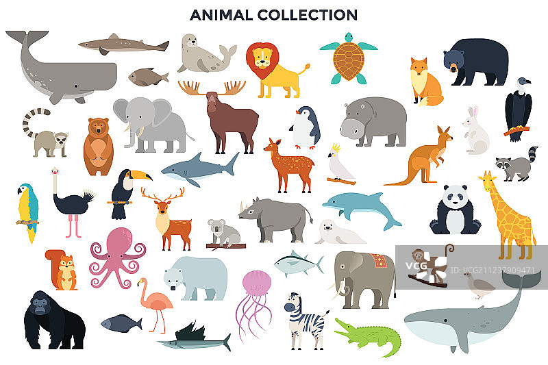 野生动物大合集图片素材