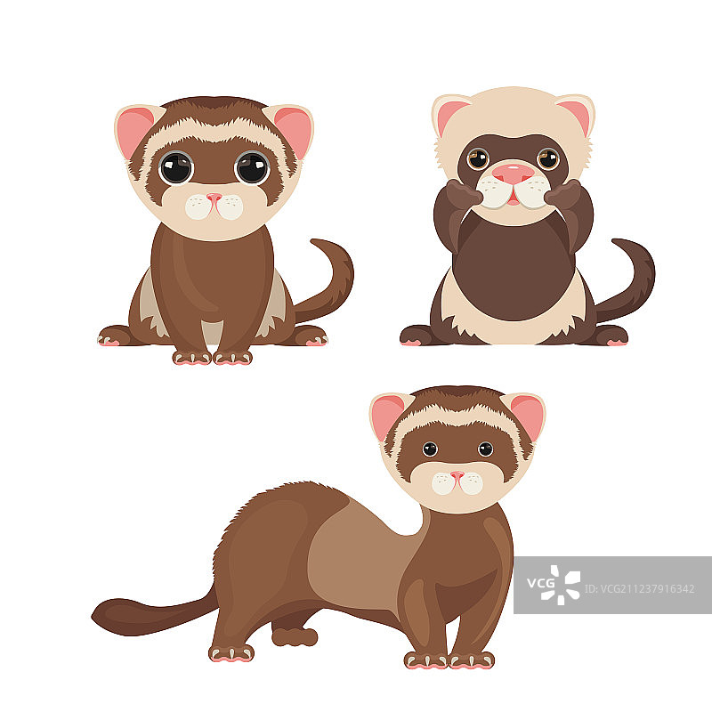 卡通风格的有趣雪貂表情符号图片素材