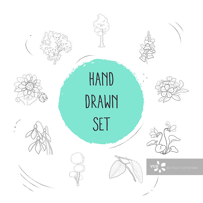 紫罗兰线性风格植物图标合集图片素材