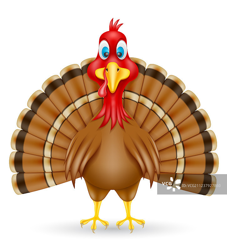火鸡图片素材