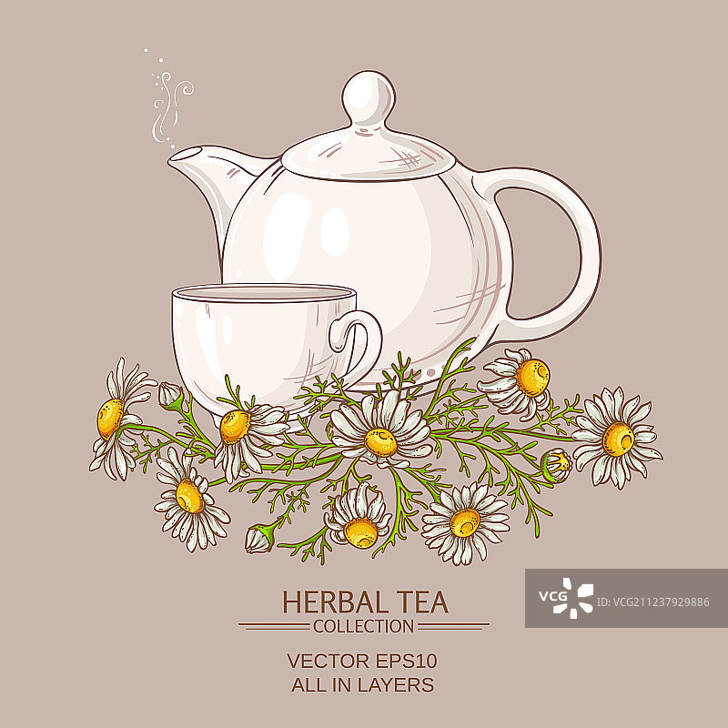 洋甘菊茶图片素材