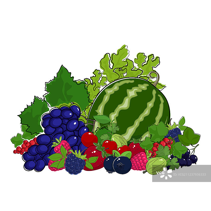 新鲜夏季浆果图片素材