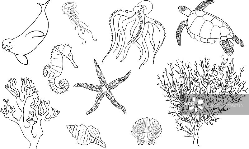 手绘海洋生物线稿合集图片素材