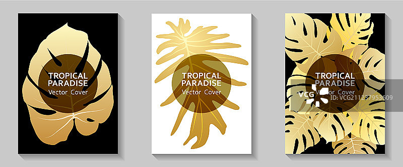 热带天堂树叶封面布局图片素材