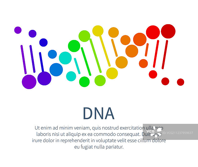 科学海报上彩虹色的DNA链图片素材