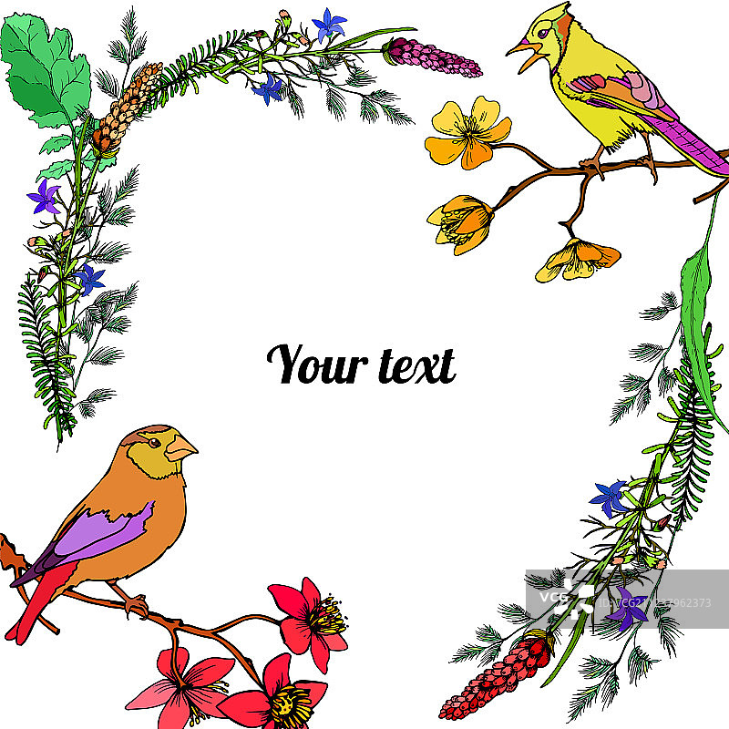 水仙花与小鸟边框图片素材