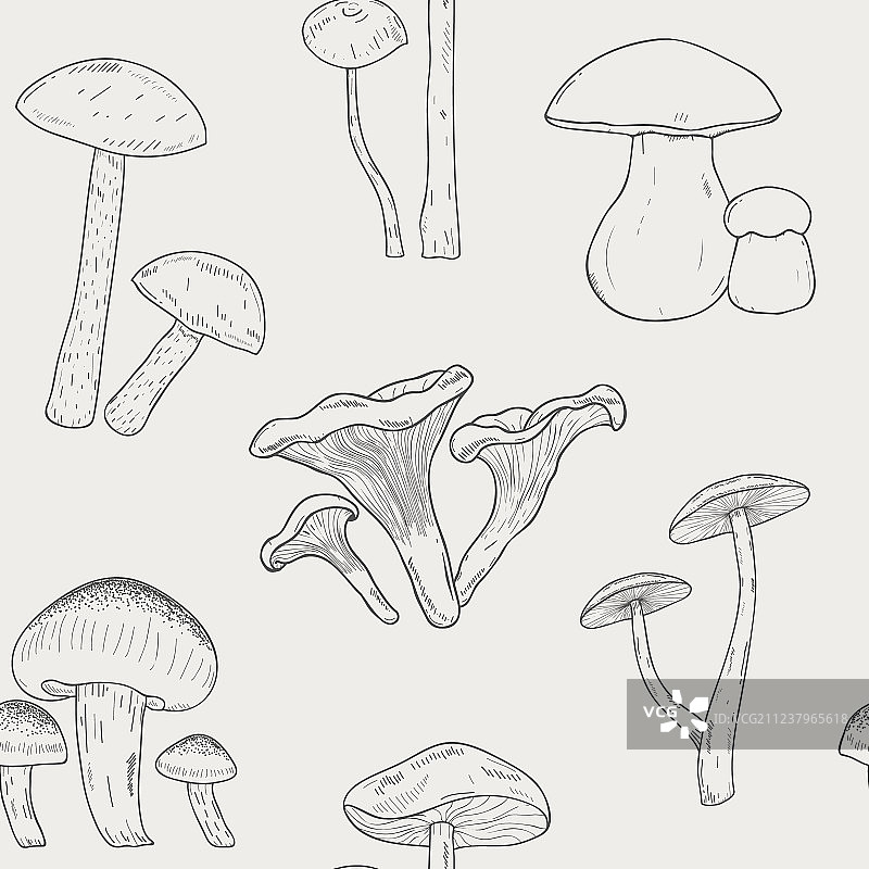 蘑菇轮廓无缝图案手绘图片素材
