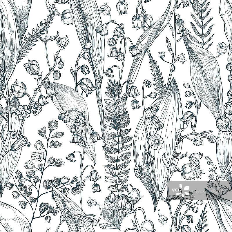 带蕨类轮廓的铃兰无缝图案图片素材