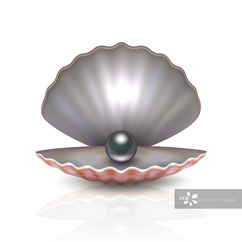 逼真的3D天然开口珍珠图片素材