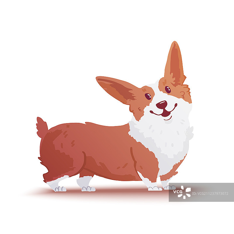 快乐的威尔士柯基犬扁平风格插画图片素材