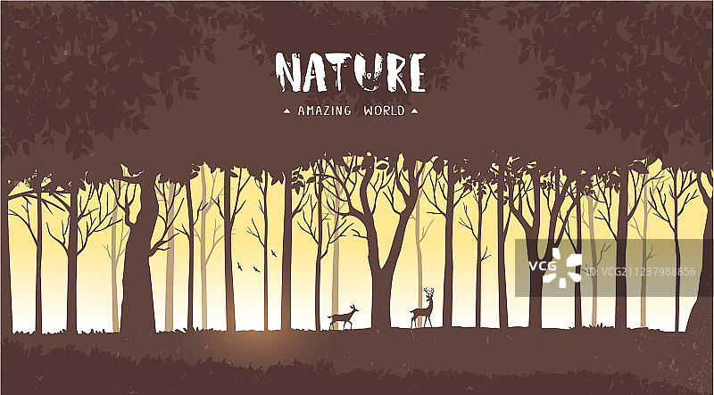 森林树木图片素材