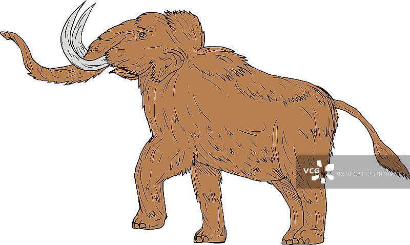长毛猛犸象雀跃绘画图片素材