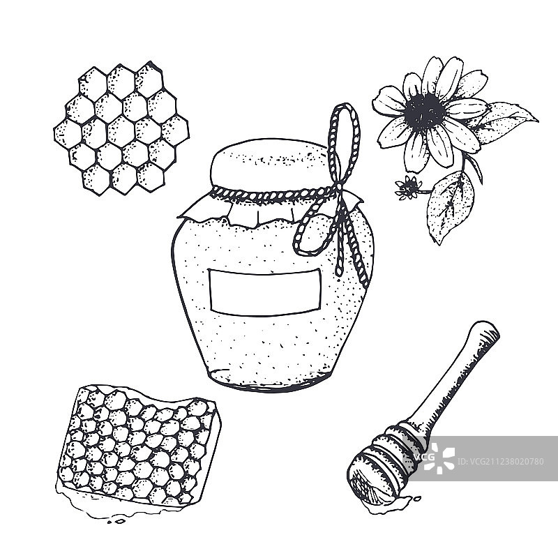 蜂蜜罐和蜂窝草图图片素材