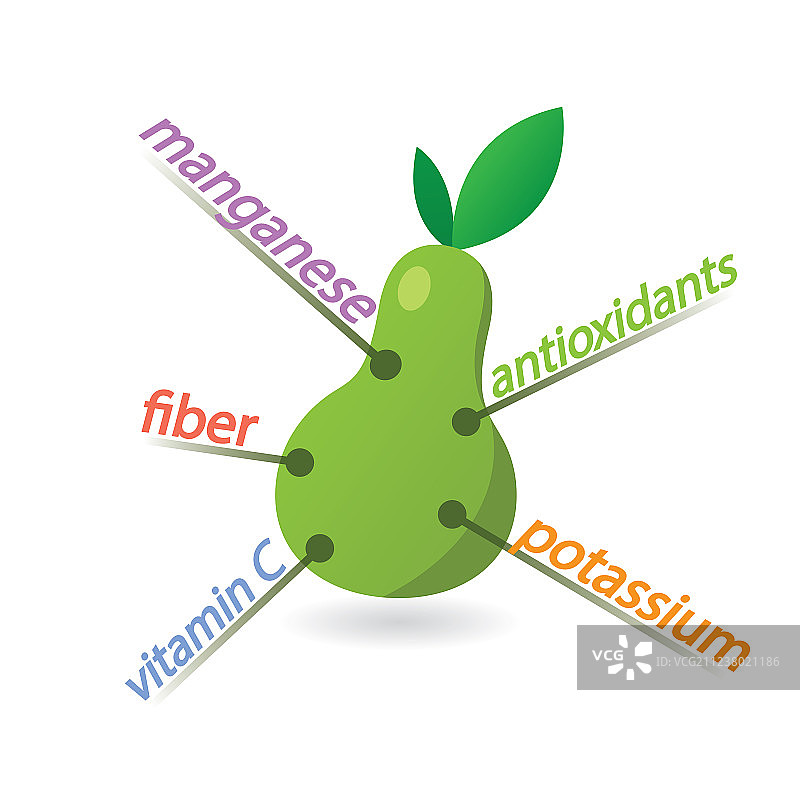 梨子的内容属性和益处图片素材