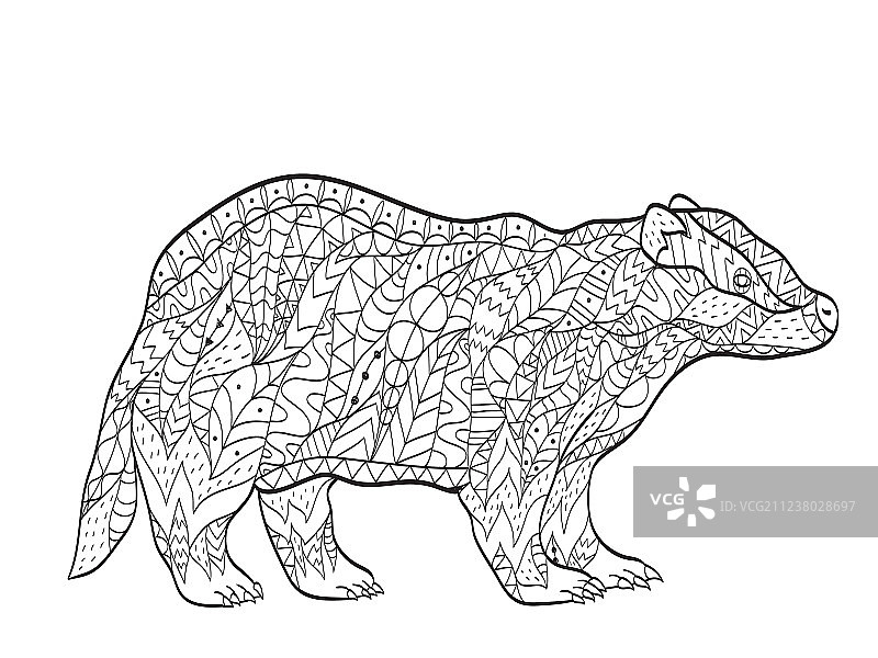 成年人欧洲獾涂色图片素材