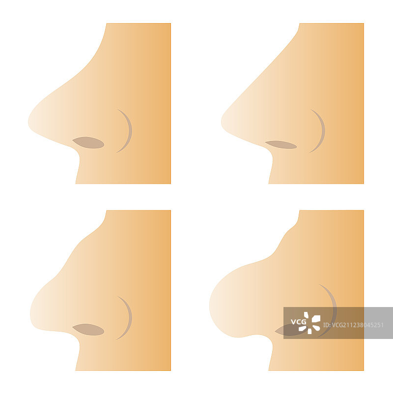 不同的人类鼻子图片素材